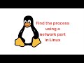 Find the process occupying a specific port in Linux