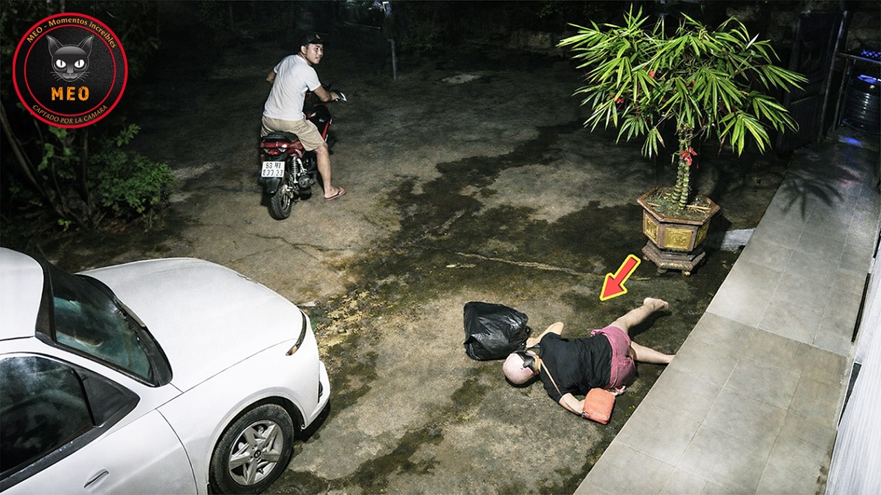 Los errores más estúpidos captados en cámara | Lo mejor del mes #14