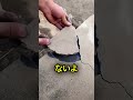 床を直そうとしたパパに予想外のハプニングが！😱😳