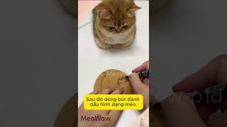 Chiếc Đệm Cốc Từ Lông Mèo