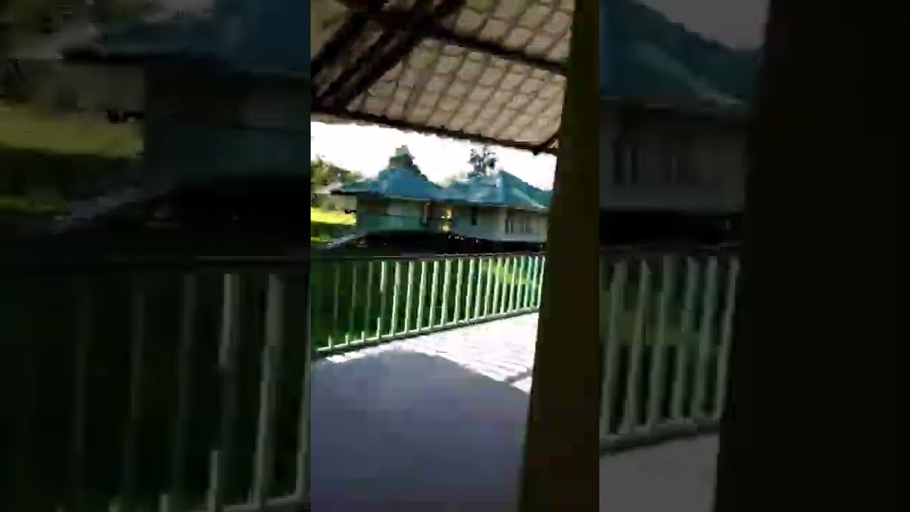 Merbil Eco Tourism Project//Awesome Assam