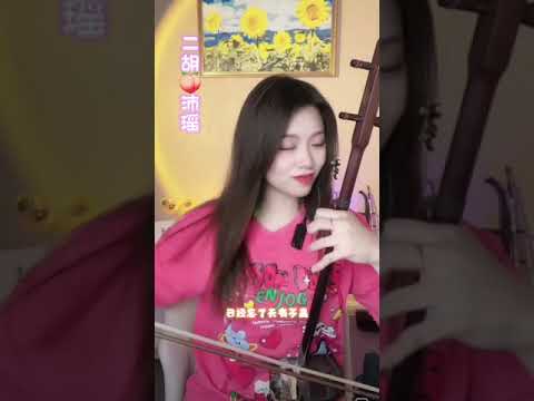 二胡です。 天華之韻 低音二胡 黒檀六角形 | tenkanikoオンラインショップ