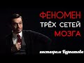 Как работают три сети мозга? | Андрей Курпатов | KT ON LINE