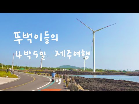 뚜벅이들의 4박 5일 제주여행-1편 | 서귀포여행 | 신창풍차해안도로 | 전기바이크 | jeju 올레시장
