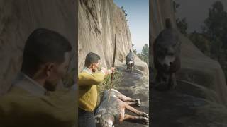 RDR2 Red Dead Redemption 2 Gameplay INSANE EPIC CRAZY WILD FIGHT Wolf Pack Survival #shorts #gaming