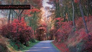 Chinalyric Drawbar Fkgrpbfshw