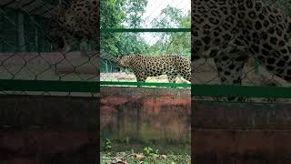Bardhaman Zoological Park