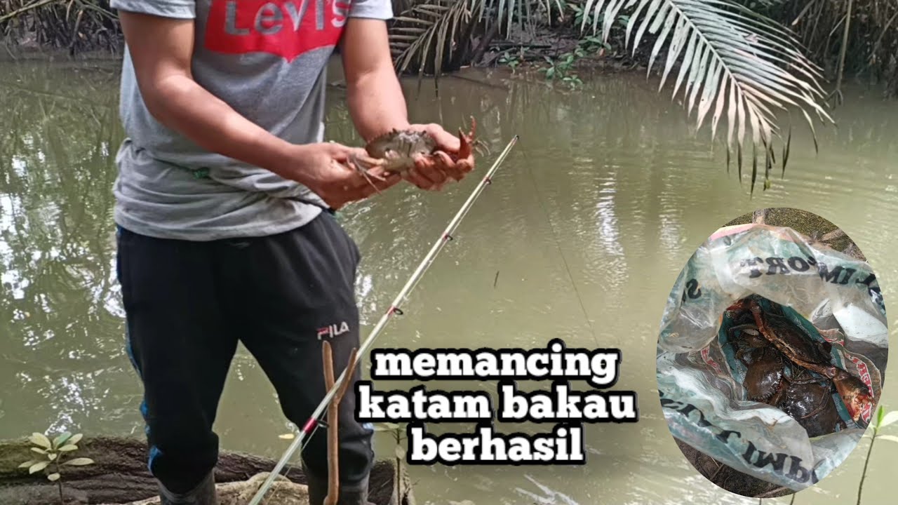 cara memancing ketam nipah
