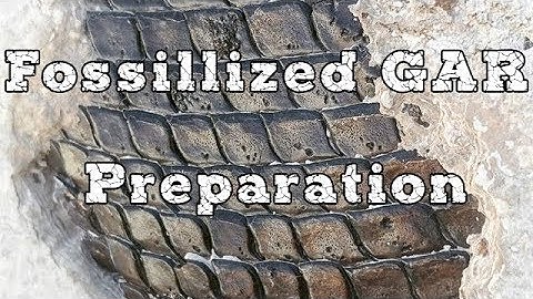 Fossilized GAR Preparation Technique with Air Abrasive