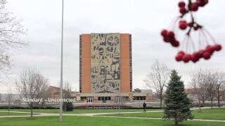 Technicolor Cinestyle and Color Correction Test - Canon T2I/550D
