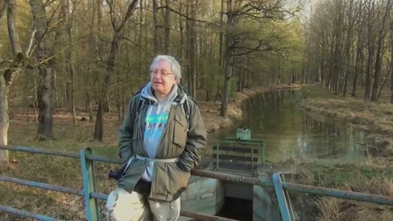 Václav Cílek: Dyje - soutok Moravy a Dyje 20