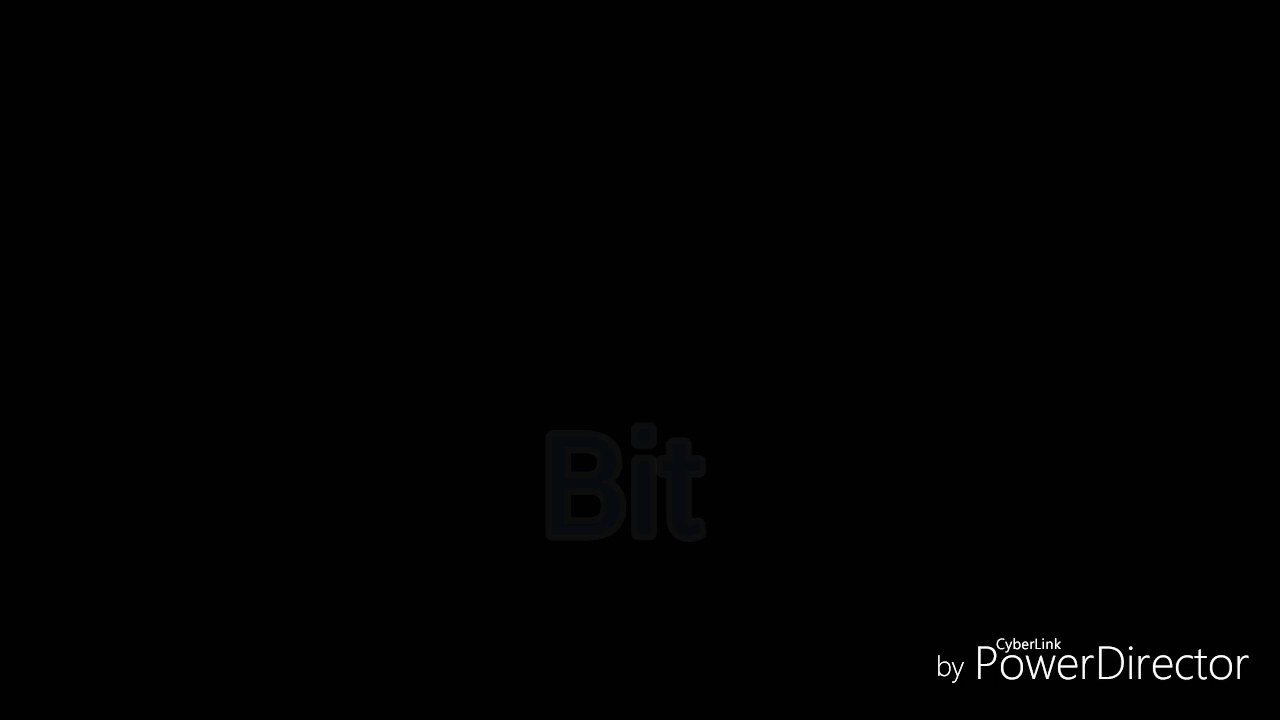 K . C . K . Paluch - Bit