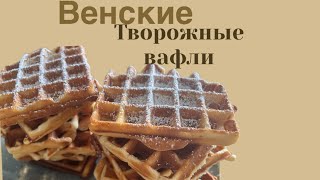 Вкусные венские творожные вафли  Leckere zarte Wiener Topfenwaffeln