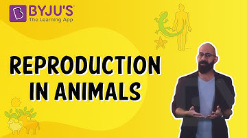 Reproduction in Animals | Class 4 | Learn With BYJU