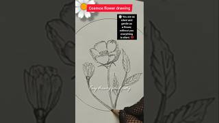 Beautiful Cosmos Flower Drawing #artshorts #art #drawing #usaart #sketching #diy #usacontent #shorts