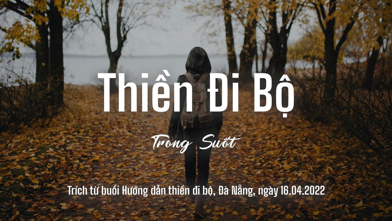 Thực hành thiền định như con nhện rình mồi – Wait add