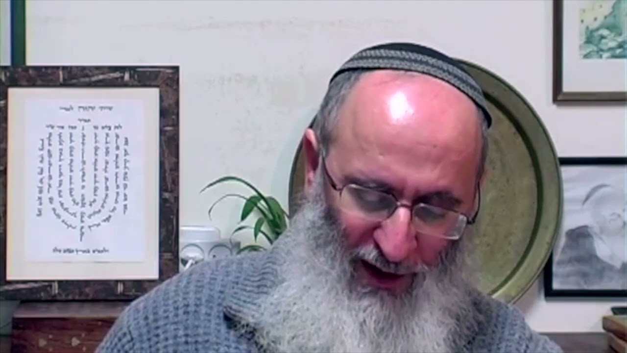 L’évolution d’après le Rav Kook