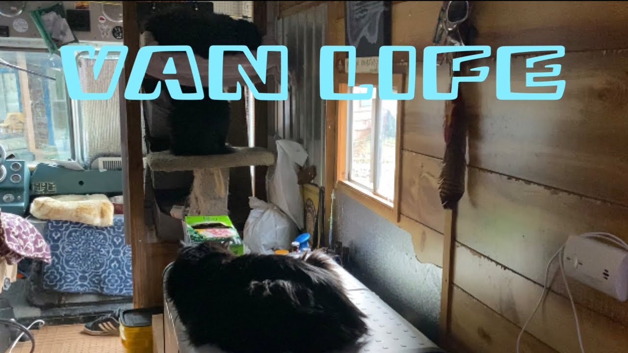 Van Life Winter EP 12/ Change Of Plans For The Day YouTube
