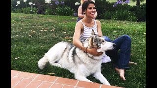 Sofia Pernas - Bulgaria 2017 Net Worth