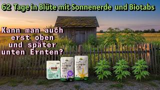 Ja, kann man und hat auch viele Vorteile.