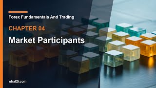 04 Market Participants | Forex Fundamentals And Trading