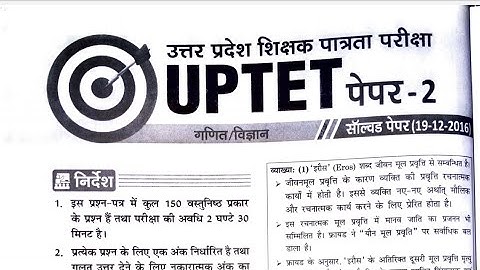 UPTET Previous Year Paper 2 Solution।। UPTET 2016 Paper Solution।। UPTET 2016 Paper 2 Answer Key