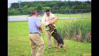 Tripwire Operations Group K-9 Division Decoy Class 01-13