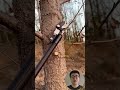 Tree Branch Cutting With Precision #Gardening