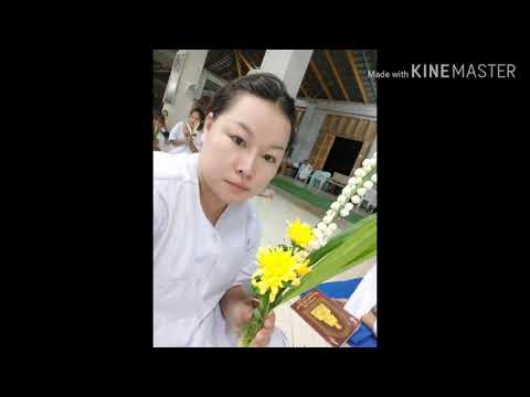 บวชเข้าพรรษาที่วัดป่าไทรงาม
