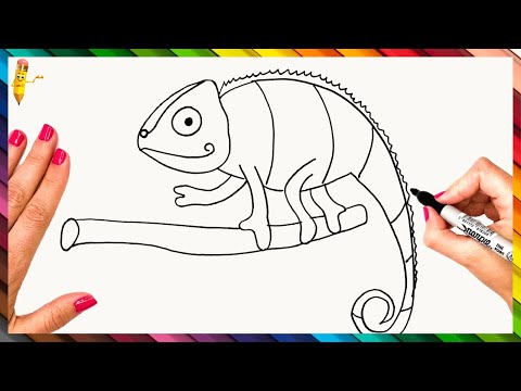 فيديو: كيفية رسم حرباء