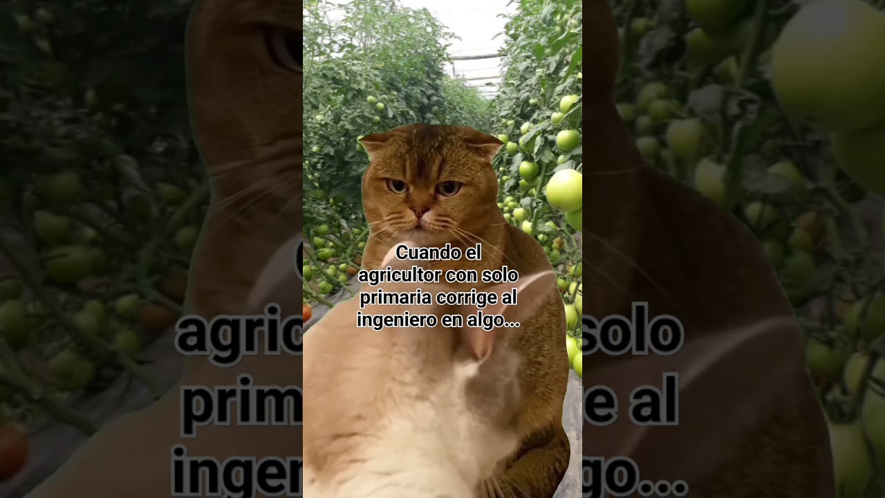 que tensión 😬😅