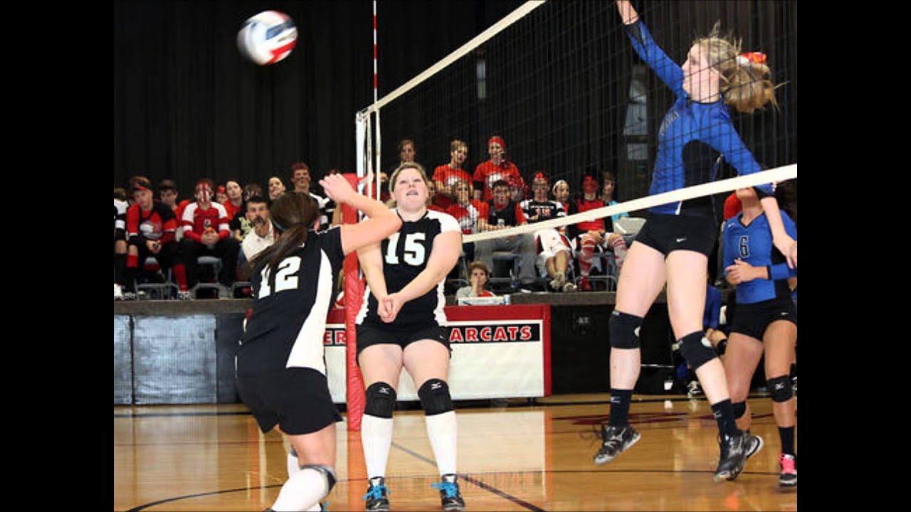 Bernie Volleyball YouTube