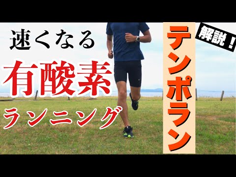 長距離走が速くなるための有酸素ランニング「テンポラン」を解説