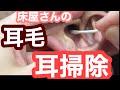 【耳掃除好き必見】見てるだけで気持ち良くなる、耳毛剃りと丁寧な耳掃除、耳たぶの毛を剃り、3器具使って耳掃除しました。