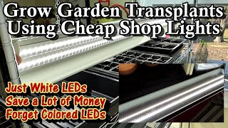 Use Shop Lights to Grow Garden Transplants & Save 100's of Dollars: Just White LED Lights are Needed