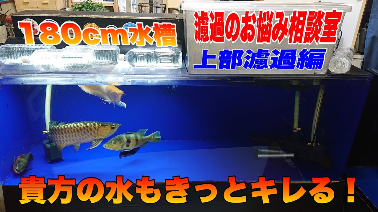 【ろ過のお悩み相談室#3】貴方の水の悩みはなんですか？どうすればいいか私が代わりに考えてみましょう！180cm水槽上部ろ過編！熱帯魚AQUARIUMアクアリウム