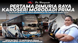 SATU²NYA DIMURIA RAYA!🤩🔥HARYANTO HR234 “DEWI PUTRI” TERUS MEMPERKUAT LINE PATI💪