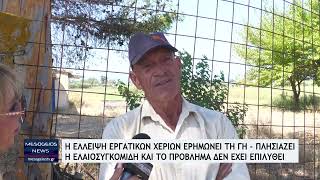 Η έλλειψη εργατικών χεριών ερημώνει τη γη - Το πρόβλημα εντείνεται