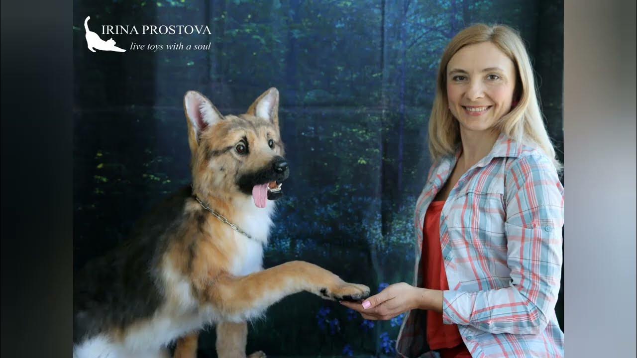 Немецкая овчарка Оскар реалистичная мягкая игрушка (работа сделана на ...