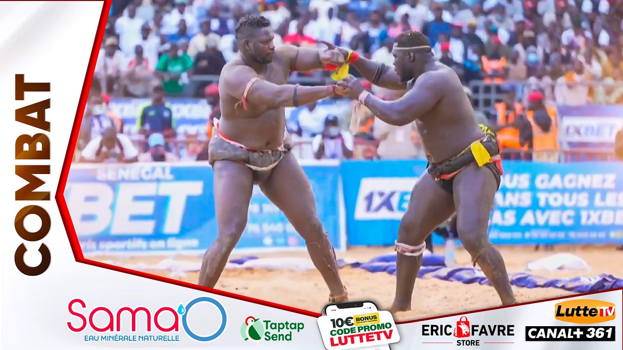 Franc bat Tapha Tine – Journée Jambaar Production – 15 février 2026