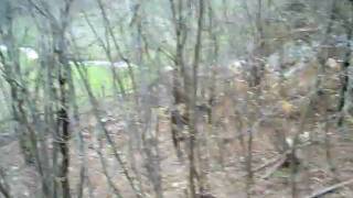 Lisa & Bari U Gateru