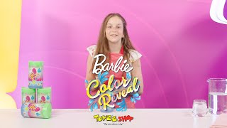 nerf rebelle toyzz shop