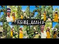 Let's pick apples  🍎🍎 | Australia | Melbourne #fruit #apple #australia #melbourneblogger