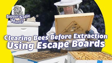 Escape Boards: Clearing Bees Before Extraction