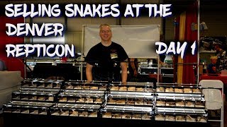 Selling Snakes at the Denver Repticon (Day 1) Buying Ball Pythons At Repticon Full Show