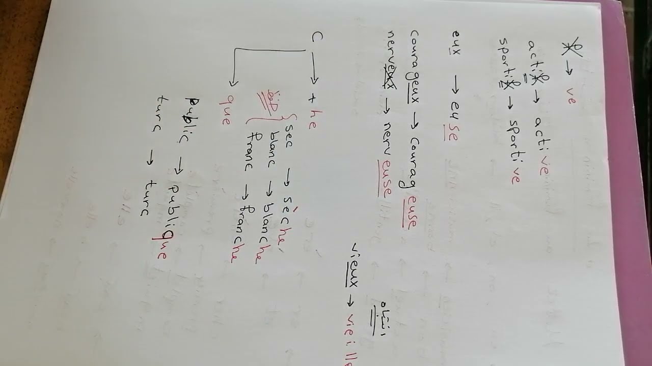 التأنيث للصف الثالث والرابع والخامس والسادس