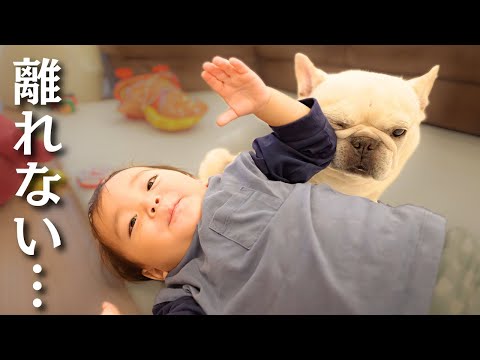 Even with all this happening, my dog ​​was so kind to my one-year
