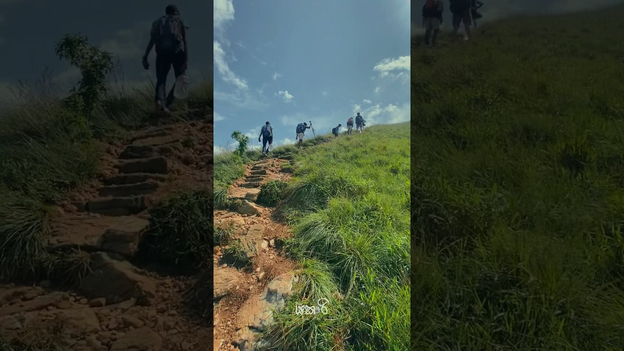 I’m living in my dream 🥹❤️ 