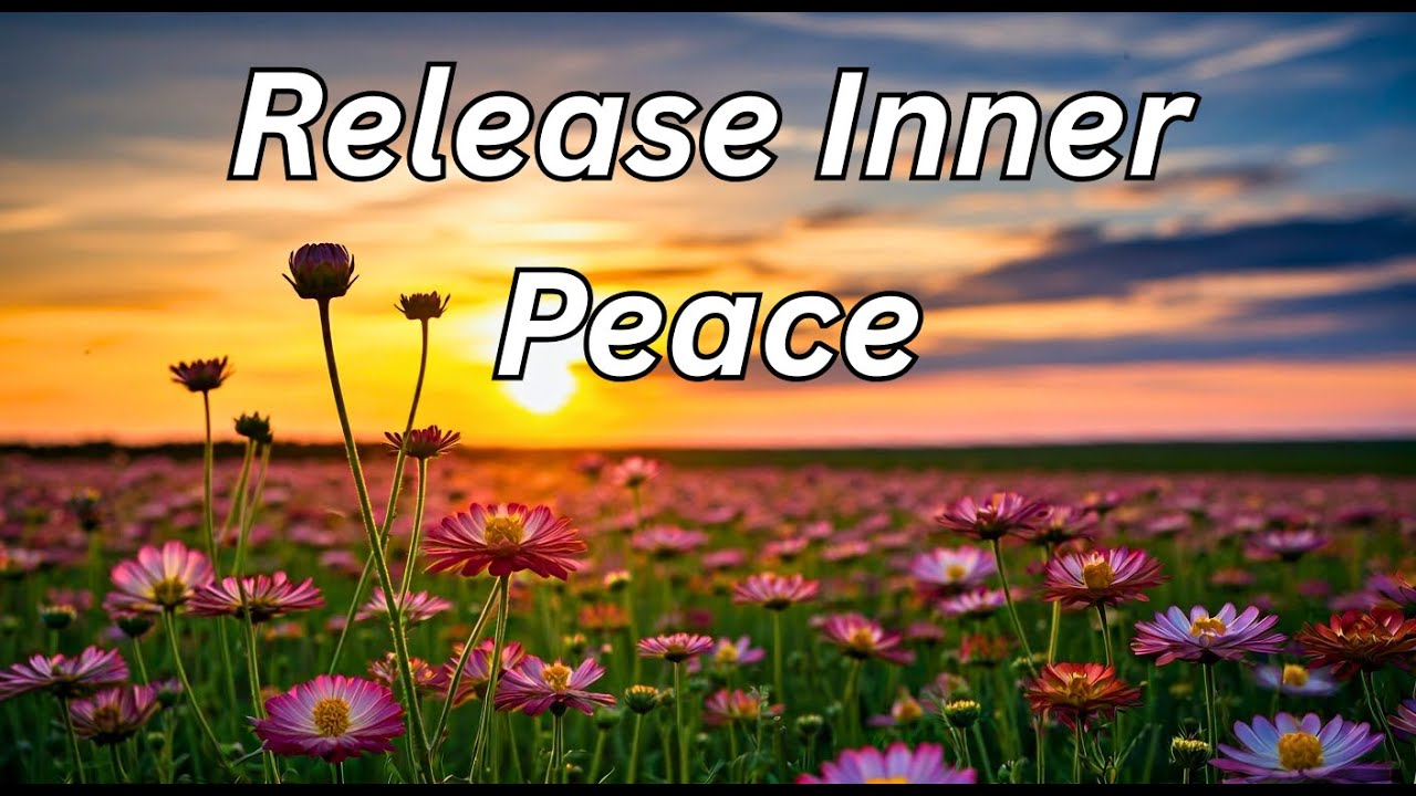 Breaking Free: Reclaim Your Peace