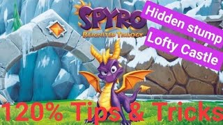 Skill Point Hidden Stump Lofty Castle Spyro Reignited Trilogy Tips Tricks